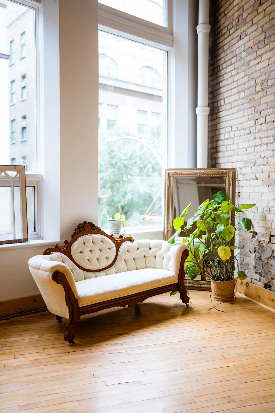 Tufted antique chaise in soft window light beside a plant